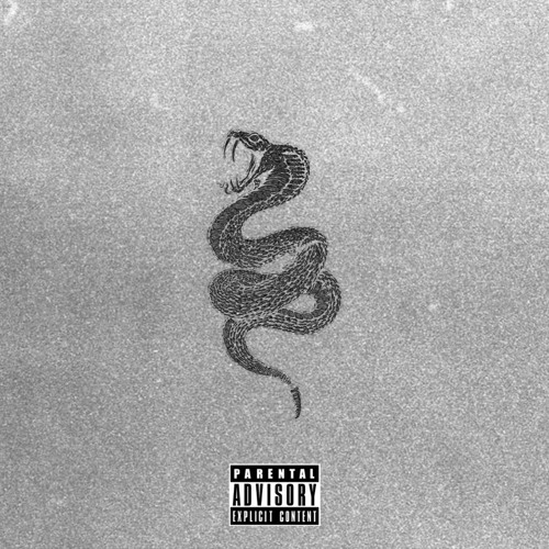 Snakes {dxor}
