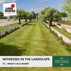 WITNESSES IN THE LANDSCAPE 01 | WHAT'S IN A NAME?