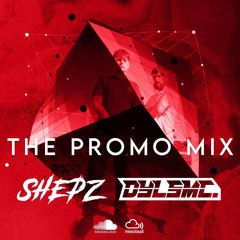 THE PROMO MIX | SHEPZ W/ DYLSMC