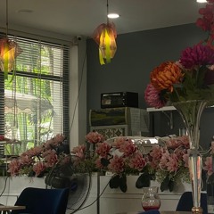 Thủ Đô Ngày Thu Buồn - Hdang Oánhh