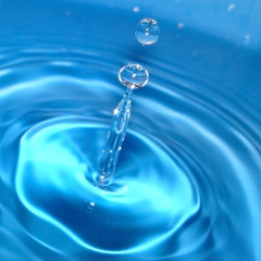 Liquidity