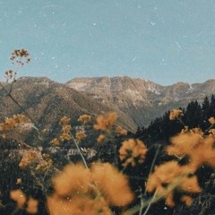 mumford & sons - the cave ( slowed + rain )