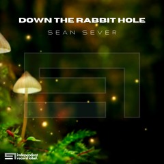 Down The Rabbit Hole (Original Mix)