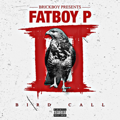 Bird Call (prod.by sologoinbrazy)