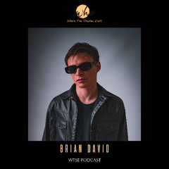 WTSE Podcast - Brian David
