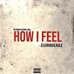 (Official Audio) How I Feel - 706Birdie [prodbyVxnuschild]