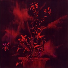 The story of wildflower(들꽃 이야기) (2016)