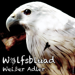 Weißer Adler