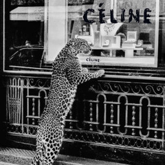 Celine chetah ft. Yvpress