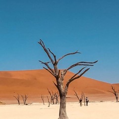 Bene Aylon  - SeneGambia (Lo.Renzo Edit)
