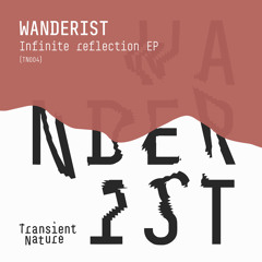 PREMIERE | Wanderist - Infinite reflection (Ambient mix) [Transient Nature] 2021