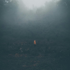 Echo Theory - Too Many Nights