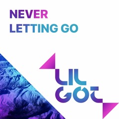 Never letting go (Extended mix)