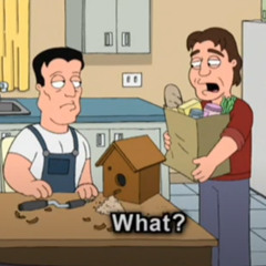 We Now Return to Sylvester Stallone and Tony Danza in What