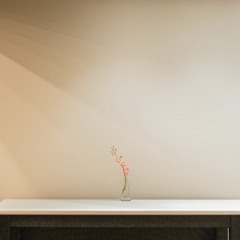 سالم الرويلي