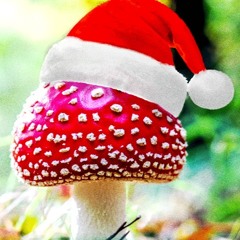 Holidaze Mix