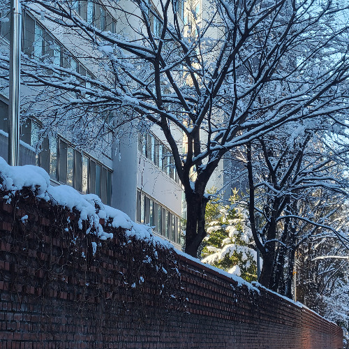 삿포로