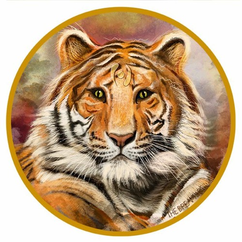My Experience With Tiger - With Maya Aronson