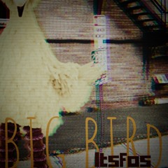 BIG BIRD