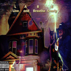 Purple Hood (Bonus Track) Feat Dvlvz Cowboi