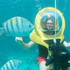 Review Special Price Scuba Doo Diving Experience In Punta Cana