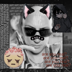 Pussyjuice acoustic cover