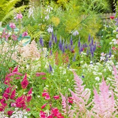 May I Always Find Beauty In My Garden