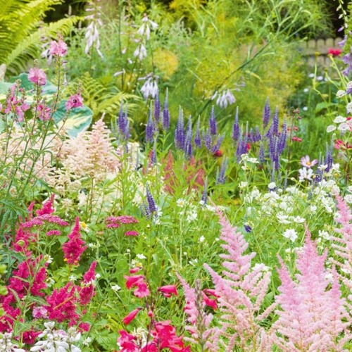 May I Always Find Beauty In My Garden