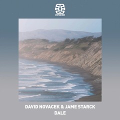 DAVID NOVACEK & JAME STARCK- Dale (Original Mix)