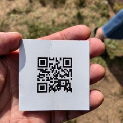 Losing Ground_vox RF BASS MIX.mp3