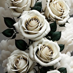 Белые розы(remix)