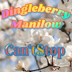 Can't Stop (Red Hot Chili Peppers Cover)