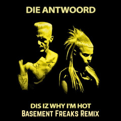 Dis Iz Why Im Hot (Basement Freaks Remix)