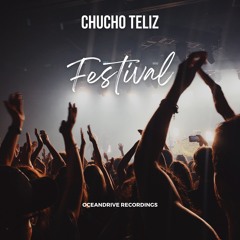 Festival ( Original Mix )