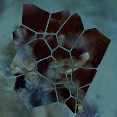 Glass Garden 008 | aliss — Last Flower in Orbit