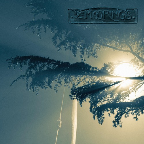 Tree On A Hill (Demo)