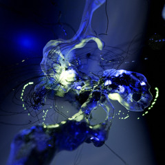 Shai FM - Uncoiled