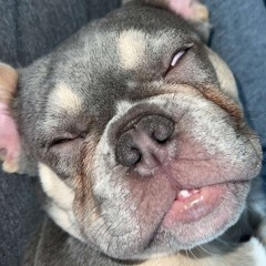 Told U So Esseks-Like That Future, Metro Boomin & Kendrick Lamar- Mash-Up