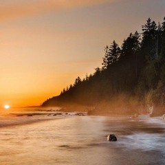 Dawn