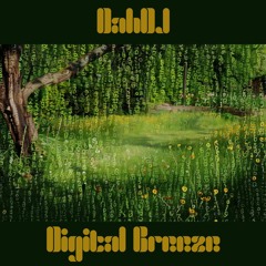 Digital Breeze