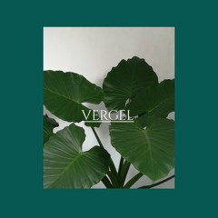 Vergel (Prod.El Punto Records)(TrabajoCompleto).