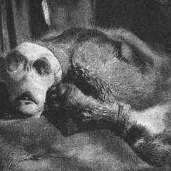 FR33 TRAPPED BLAHHH!!!