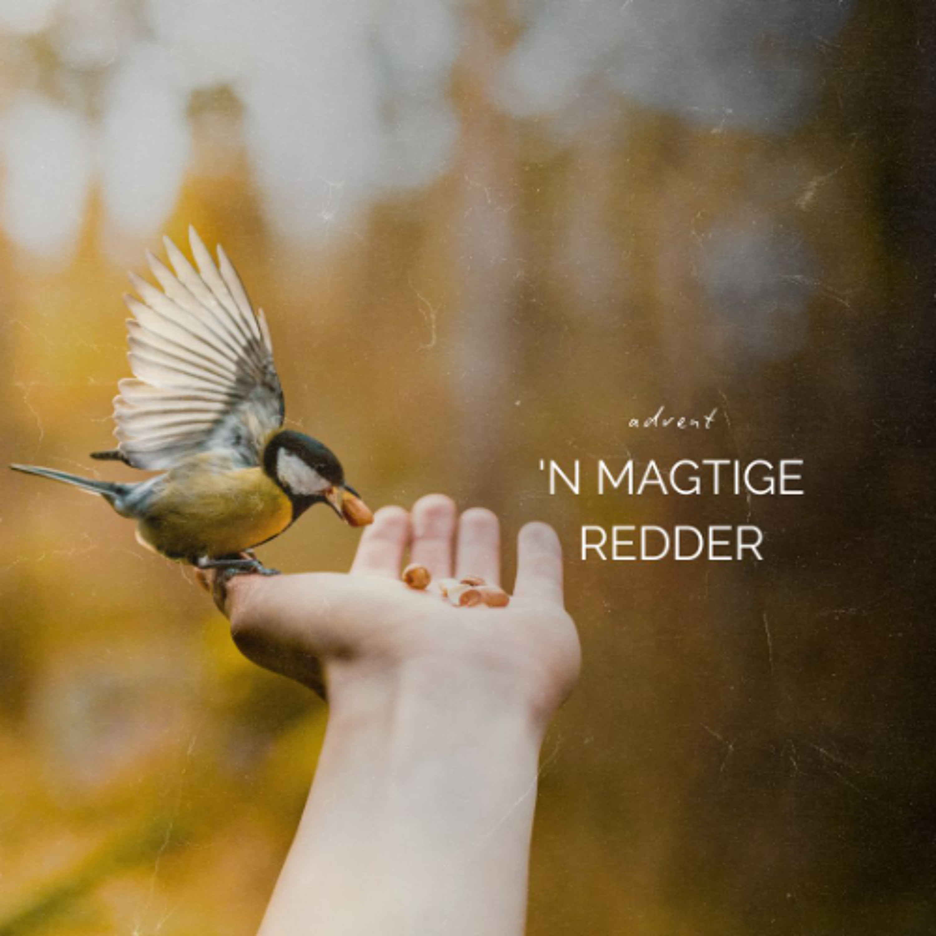 Advent: 'n Magtige Redder deur Theo Geyser