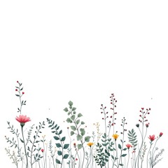 Word Seeds