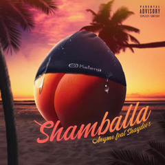 Anyme - Shamballa feat. Shaydee's