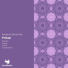 Gabriel Filip, Randle - Prihab (DJ Bird Remix)