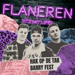 Flaneren (It's My Life)
