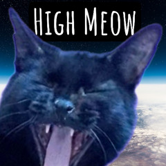 HIGH MEOW