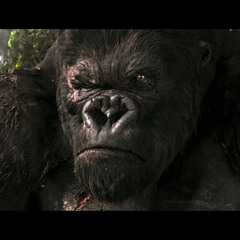 JUNGLE CONFLICT