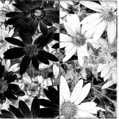 loveisthemosttwistedcurseofall X Illtakeonyourshareofsuffering